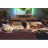 PHILIPS TAB5109