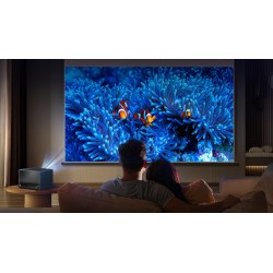 HISENSE C1