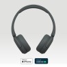 SONY WHCH520B
