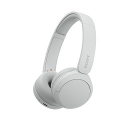 SONY WHCH520W