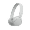 SONY WHCH520W