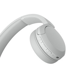 SONY WHCH520W