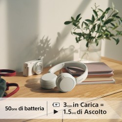 SONY WHCH520W
