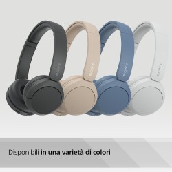 SONY WHCH520W