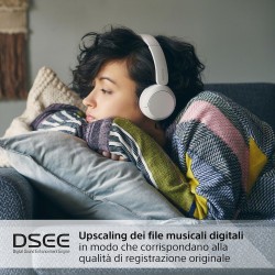 SONY WHCH520W