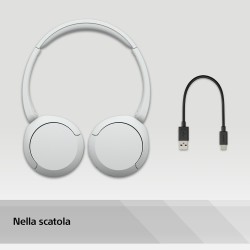 SONY WHCH520W