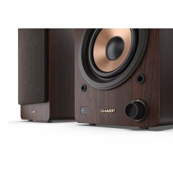 SHARP CPSS30BR