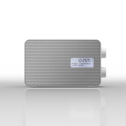 PANASONIC RFD30BTEGW